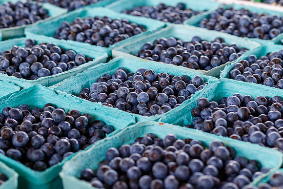 Fresh Blueberries