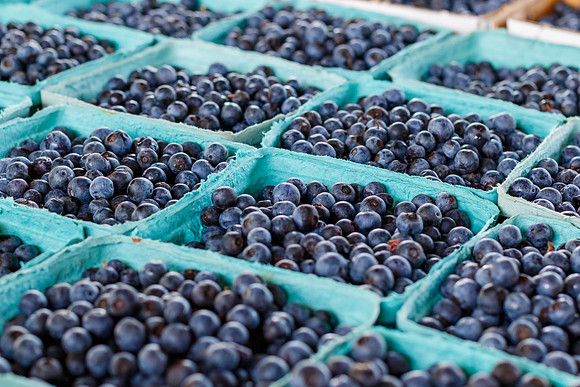 Fresh Blueberries