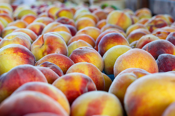 Fresh Peaches