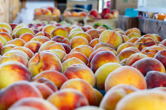Fresh Peaches