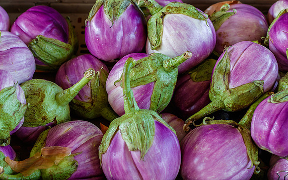 Fresh Egglplant