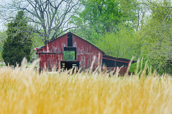 Red Barn