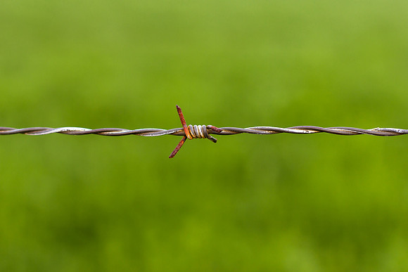 Old Barbed Wire
