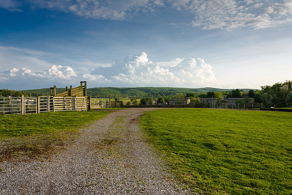 Virgina Farmland