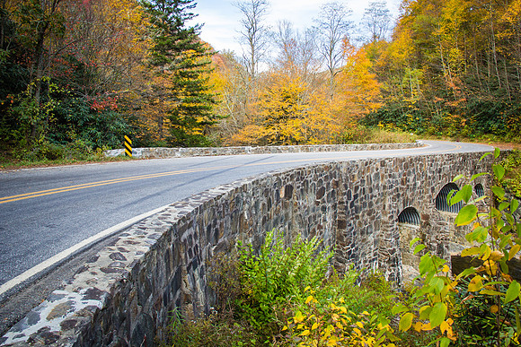 Country Road near Nantahala National Forest