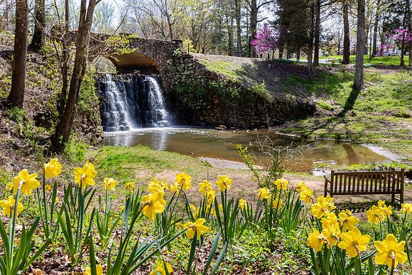 Waterfall Bridge at Reynolda Gardens