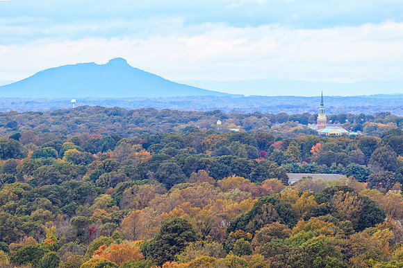 Winston-Salem in Fall Colors