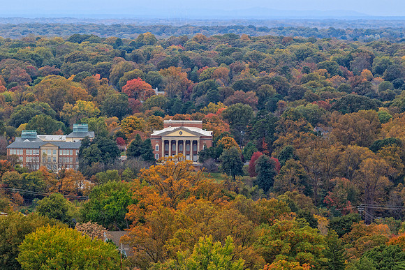 Fall Colors in Winston-Salem