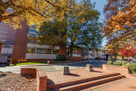 DH Hill Library at NC State University