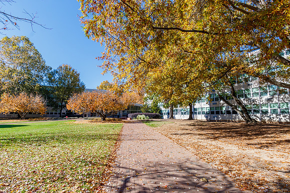 Bragaw Hall at NC State University