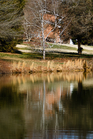 Virginia Tech