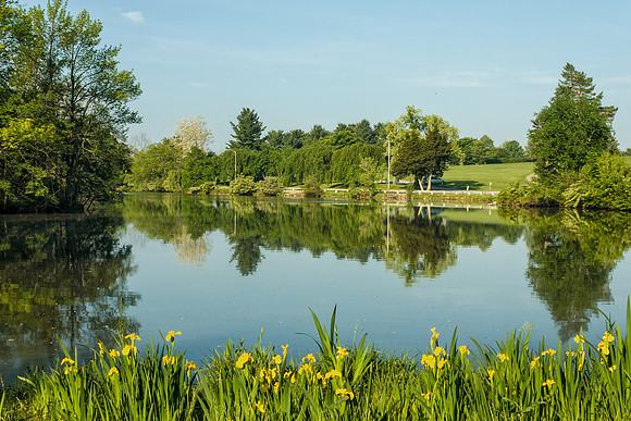 Duck Pond at Virginia Tech