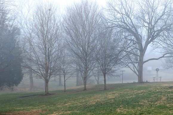Heavy Fog