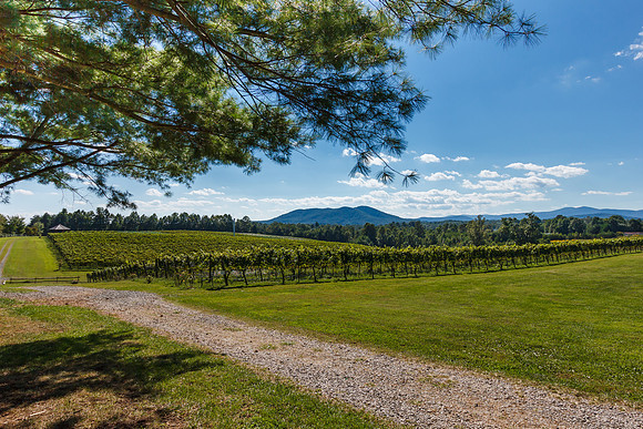 Roundpeak Vineyards