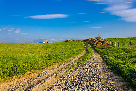 Virginia Farmland