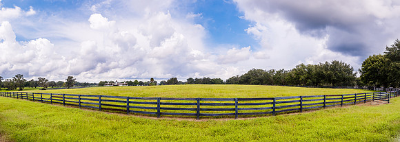 Horse Farm