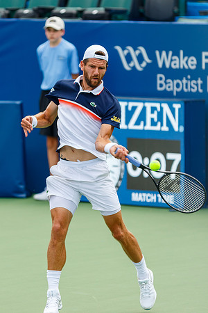Jurgen Melzer at the Winston-Salem Open