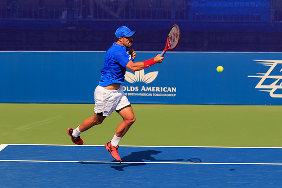 Tomas Berdych at the Winston-Salem Open