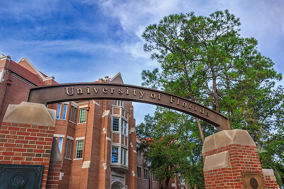 The University of Florida