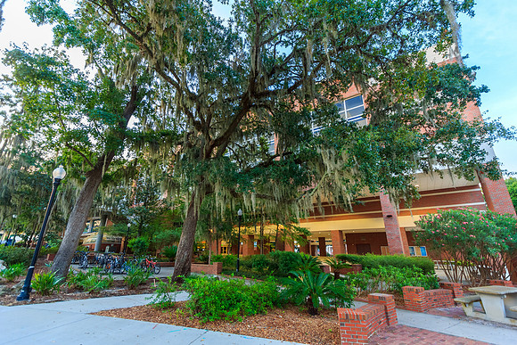 Reitz Student Union at  the University of Florida