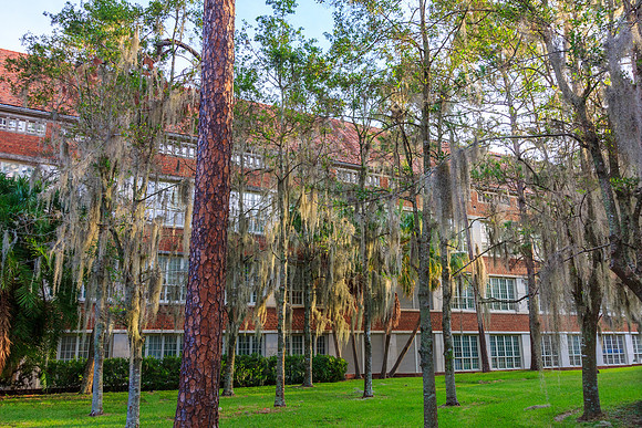 Matherly Hall at the University of Florida