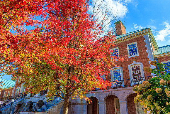 Reynolda Hall at Wake Forest University