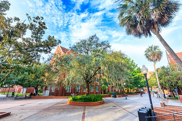 Smathers Library at the University of Florida