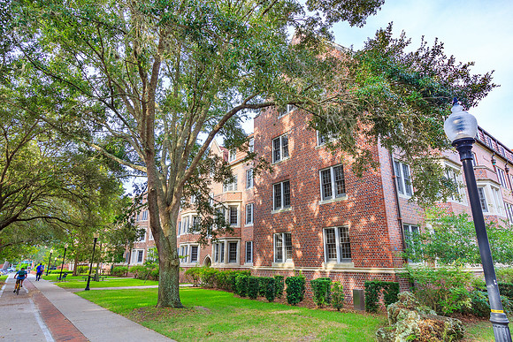 Murphree Hall at the University of Florida