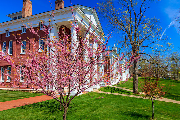 Newcomb Hall at Washington and Lee University
