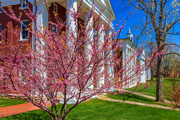 Newcomb Hall at Washington and Lee University