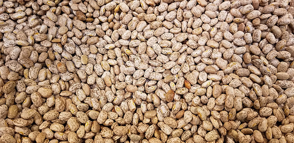 Pinto Beans