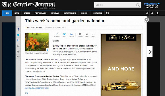 The Courier-Journal - Daylily