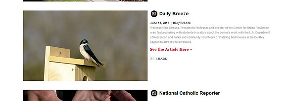 tree swallow lmu magazine