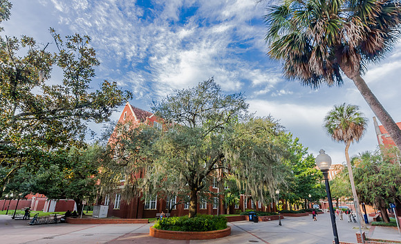 Smathers Library at the University of Florida