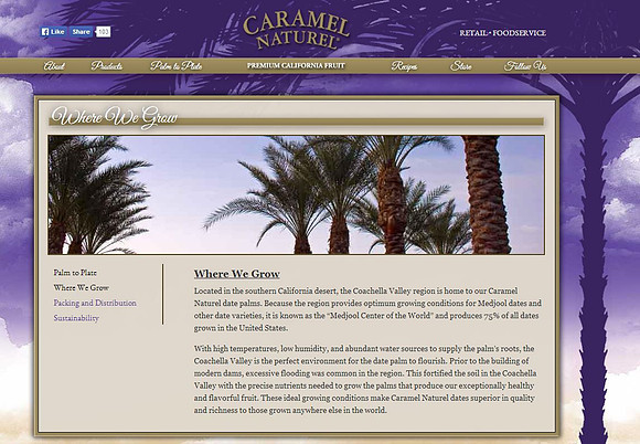 Caramel Naturel - Arizona Date Trees