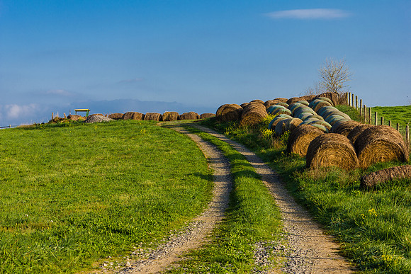 Virginia Farm