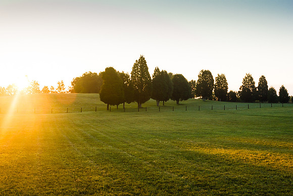 Meadow at Sunrise