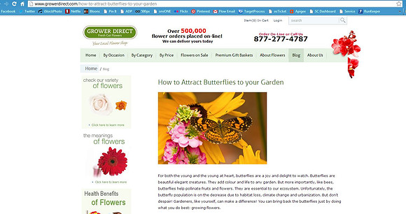 GrowerDirect.com - Buttlerfly