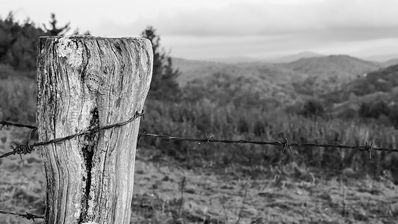 Barbed Wire Fence